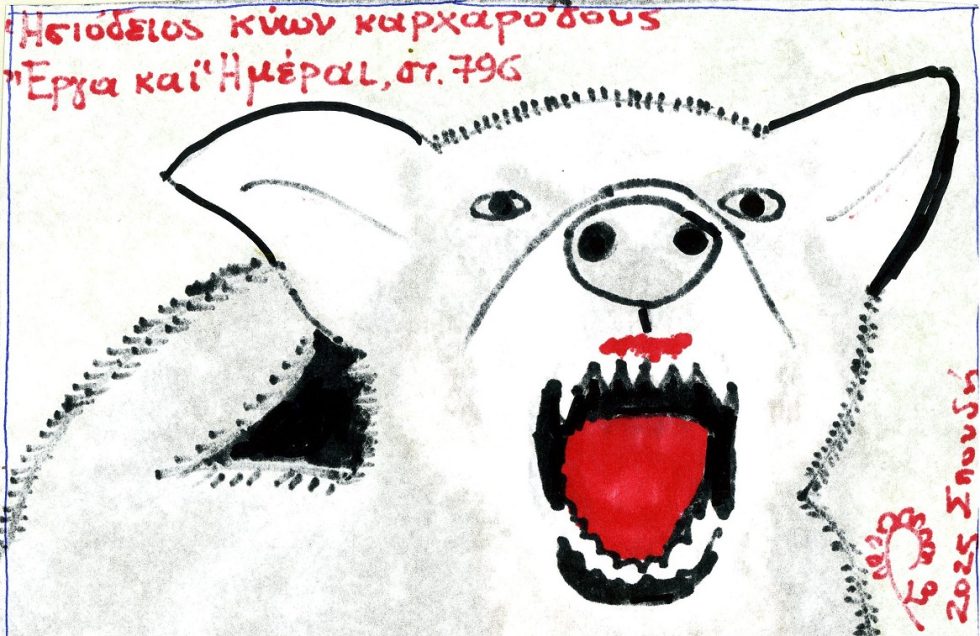 ΗΣΙΟΔΕΙΟΣ ΚΥΩΝ ΚΑΡΧΑΡΟΔΟΥΣ